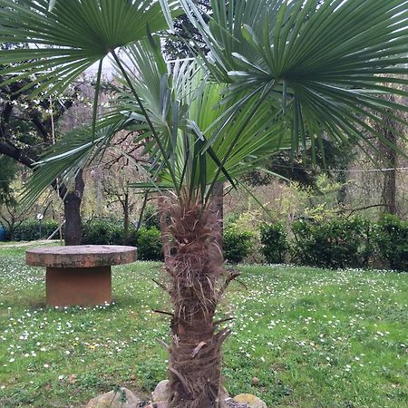 Locanda Irene Monte San Pietro Kültér fotó